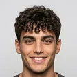 Match: a man with similar features and a curly fringe